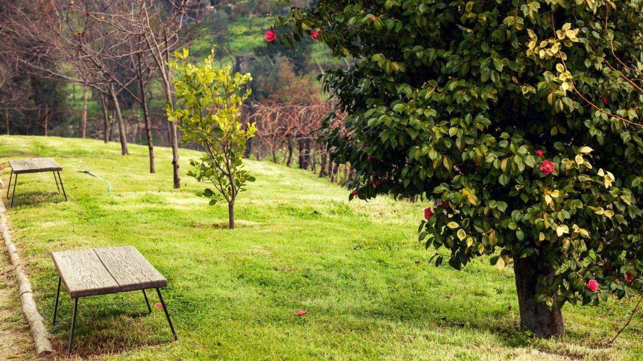 Douro Palace Resort&spa 4*